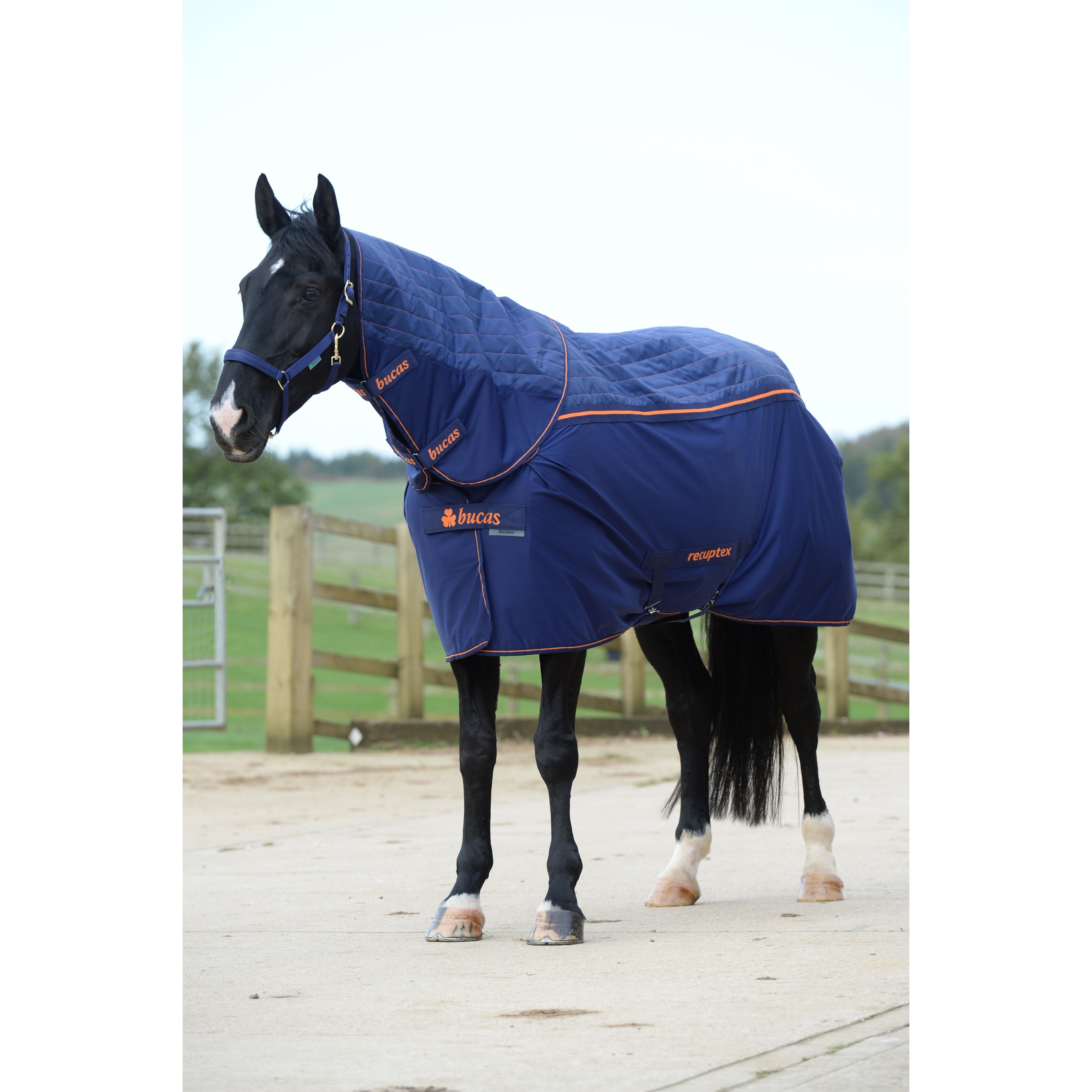 BR Zadeldek Ivory Coast Dark Sapphire | Paardensport BR Zadeldek Ivory Coast Dark Sapphire | Paardensport