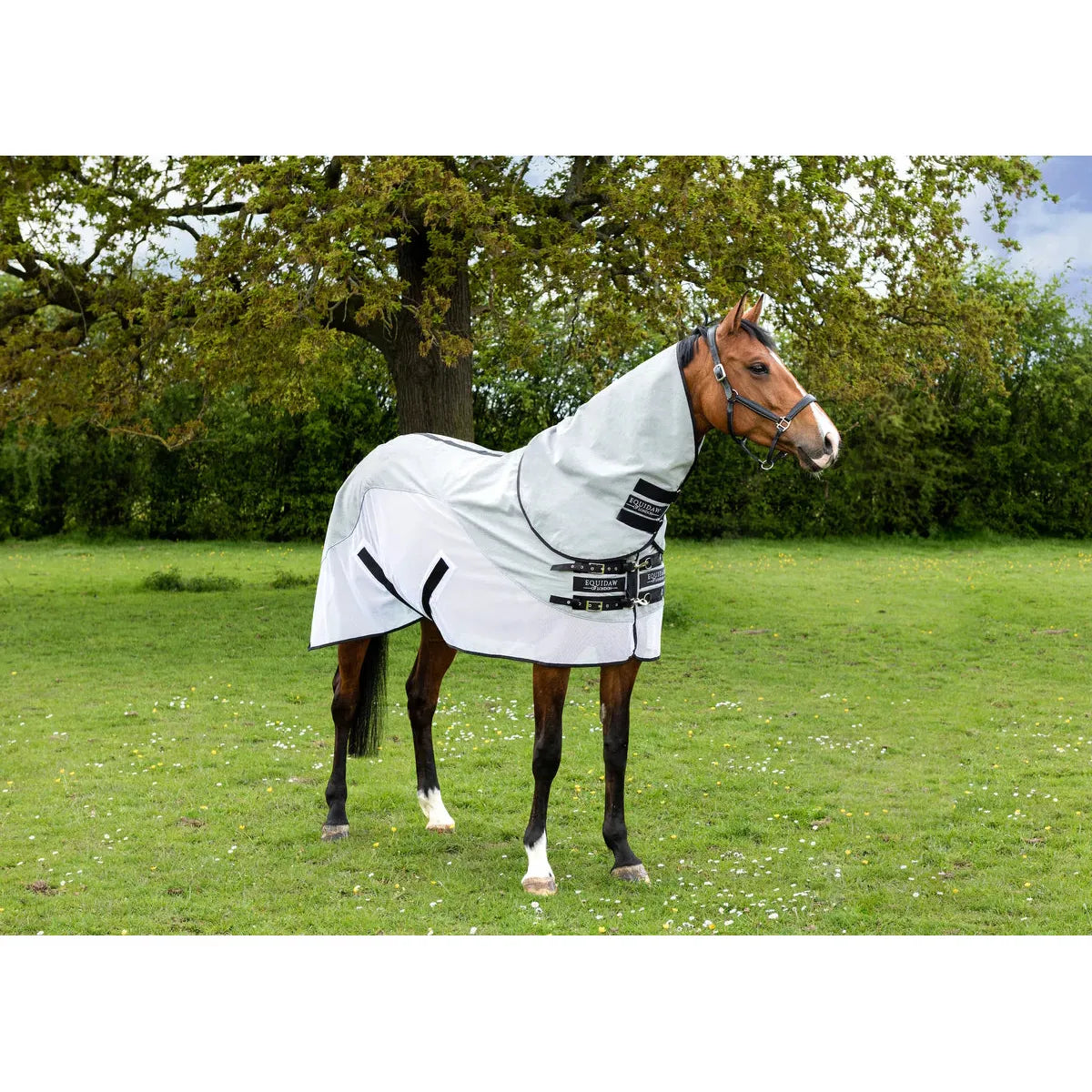 EquiDaw of London - Luxury Cooling Rug